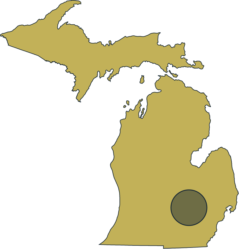map of the state of Michigan